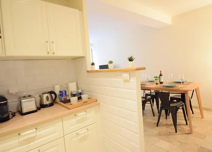 Renting - Pairoliere - Spacious Flat - Old - Massena - Terrace * Niza