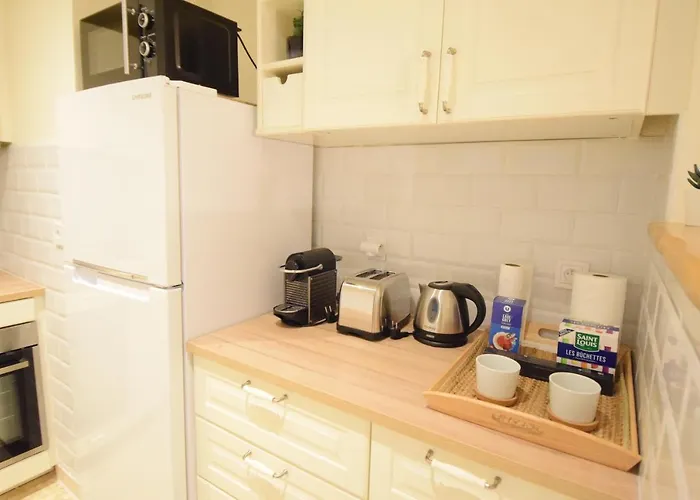 Renting - Pairoliere - Spacious Flat - Old - Massena - Terrace
