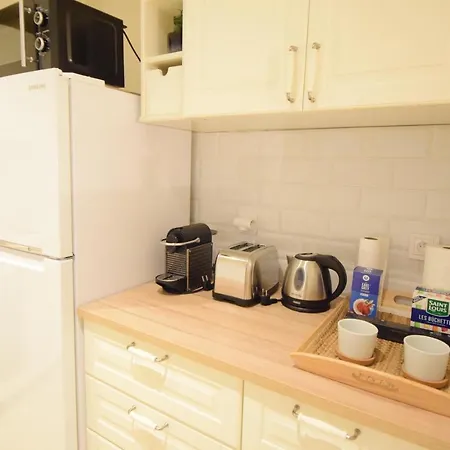 Renting - Pairoliere - Spacious Flat - Old - Massena - Terrace