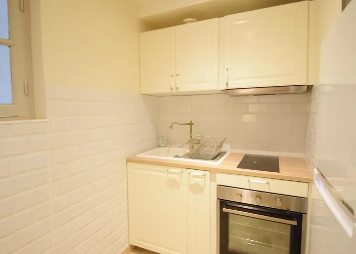 Renting - Pairoliere - Spacious Flat - Old - Massena - Terrace 아파트 *