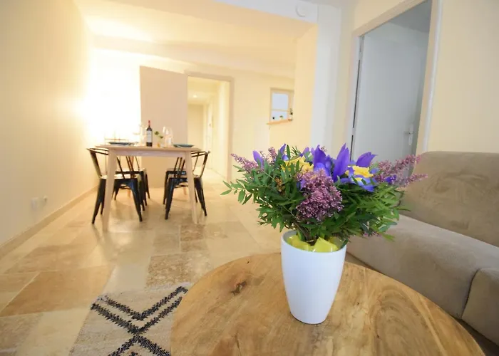 Renting - Pairoliere - Spacious Flat - Old - Massena - Terrace 아파트 니스